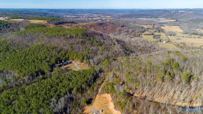 80 acres Rock Creek Rd, Home with 0 bedrooms, 0 bathrooms and null parking in Eva AL | Image 22