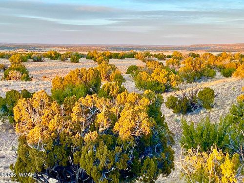 TBD Co Rd N6659 36.25 Acres, St. Johns, AZ, 85936 | Card Image