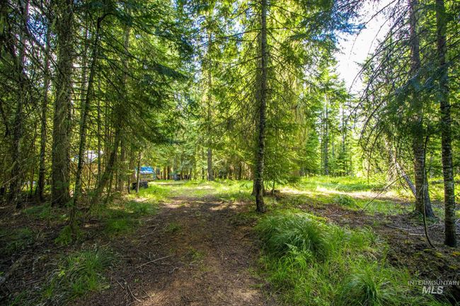 20888 Upper Fords Creek Rd, House other with 2 bedrooms, 2 bathrooms and 2 parking in Weippe ID | Image 17