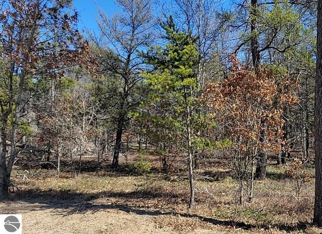 Site 7 Lumberjack Court, Home with 0 bedrooms, 0 bathrooms and null parking in Grayling MI | Image 5