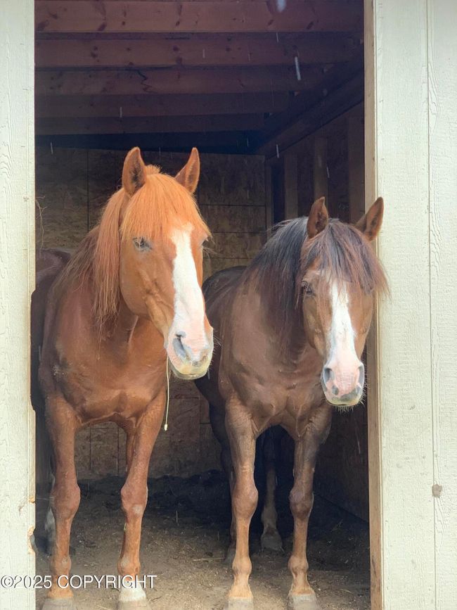 Unheated horse duplex | Image 78