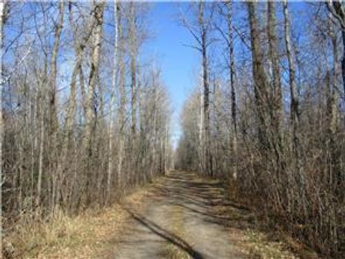 XXX Boreal Rd, Meadowlands, MN, 55765 | Card Image