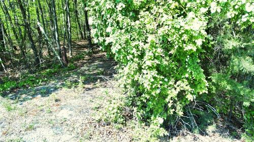 0 Highway 157, Menlo, GA, 30731 | Card Image