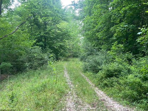 TBD Keiths Fork Road, Weston, WV, 26452 | Card Image