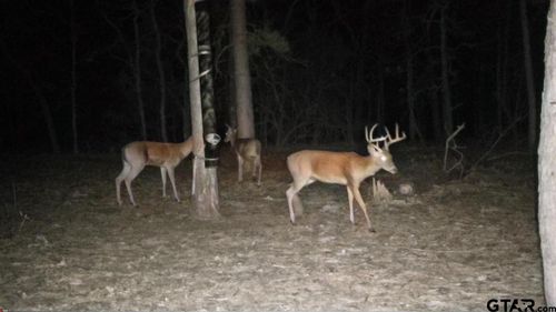 4079 S Farm To Market Road 2869 Hawkins, Tx 75, Hawkins, TX, 75765 | Card Image