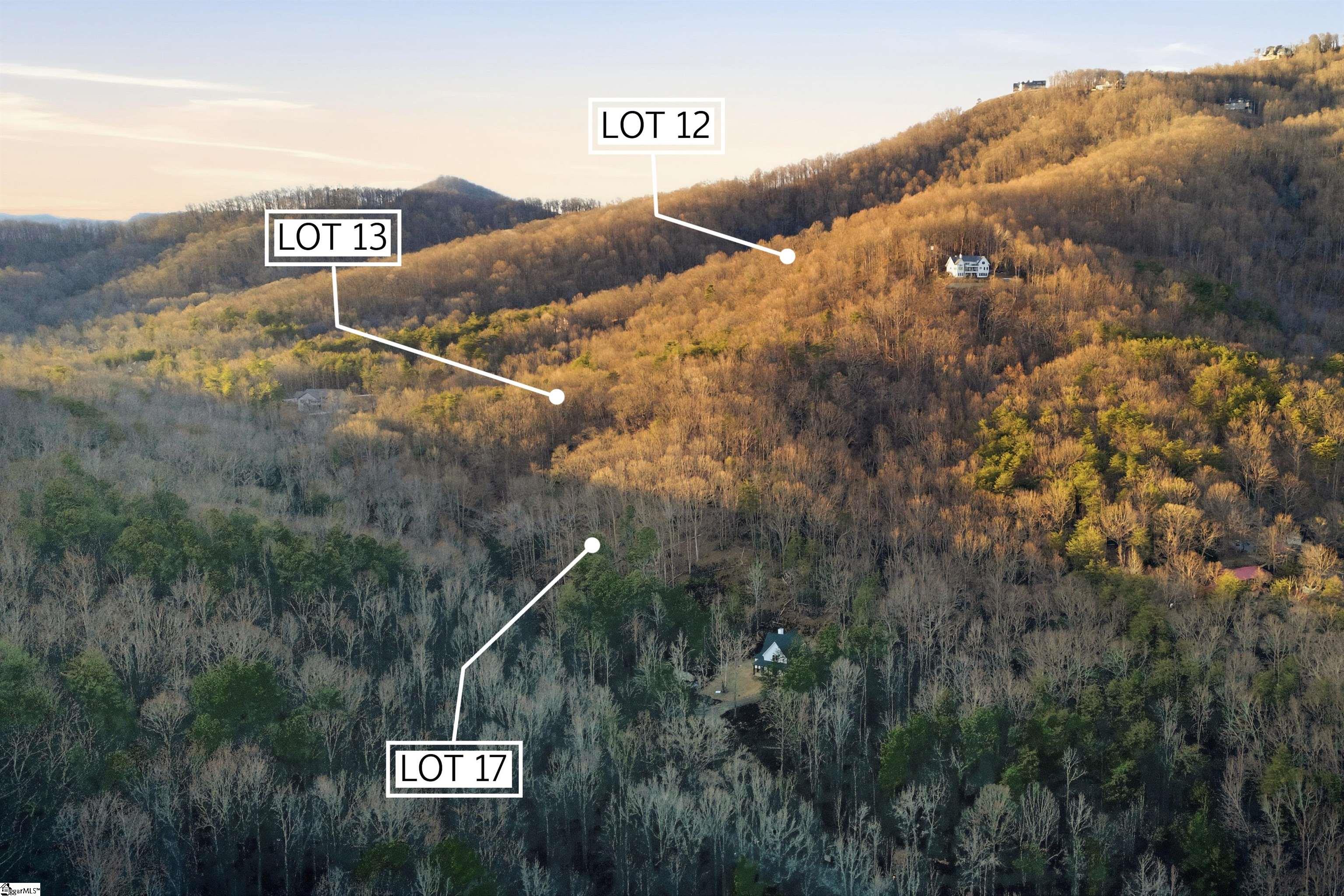 Residential in Landrum 5