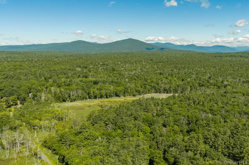 Tbd Buck Rd, Stone Ridge, NY, 12484 | Card Image