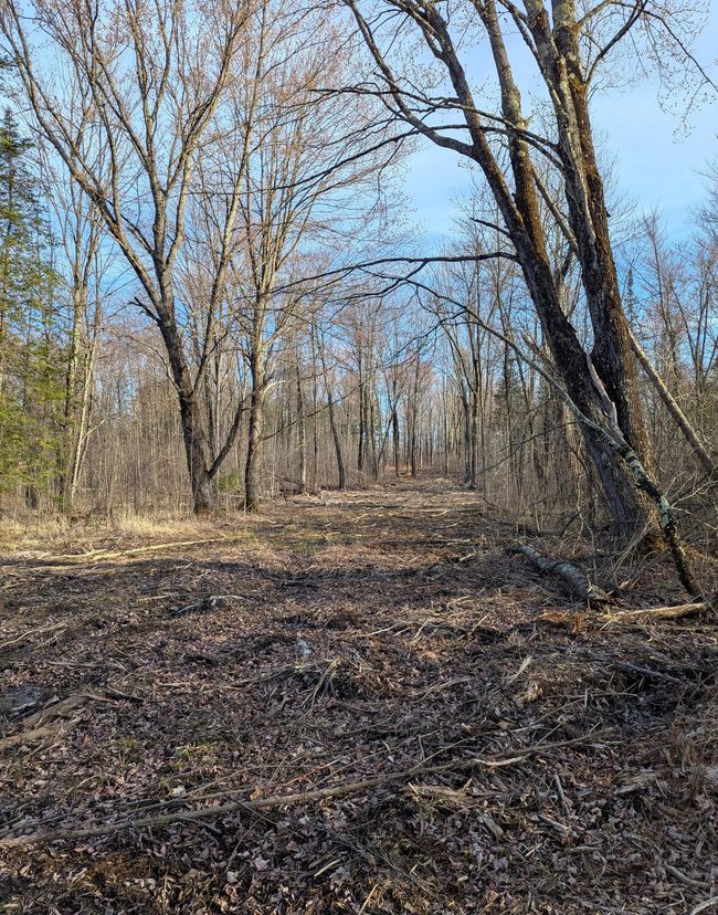 00 Cth X, Home with 0 bedrooms, 0 bathrooms and null parking in PRENTICE WI | Image 17