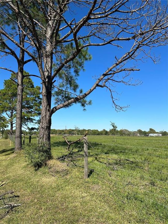 lot 7 Fm 646, Home with 0 bedrooms, 0 bathrooms and null parking in Santa Fe TX | Image 4