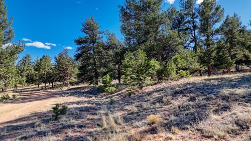 L5124 Arikara Trail, Hartsel, CO, 80449 | Card Image