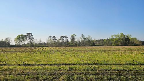 none-0 Shiloh Road, Greensboro, GA, 30642 | Card Image