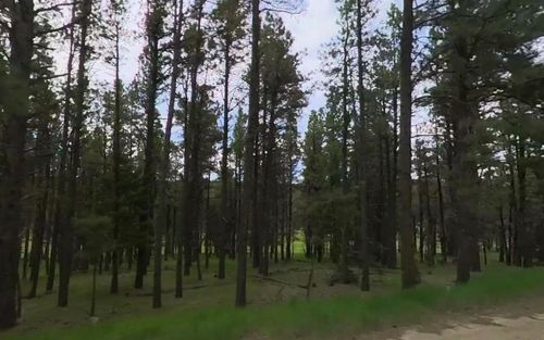 1322 Brazos Dr, Angel Fire, NM, 87710 | Card Image