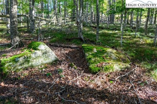 123 Briarwood Ln, Beech Mountain, NC, 28604-8032 | Card Image
