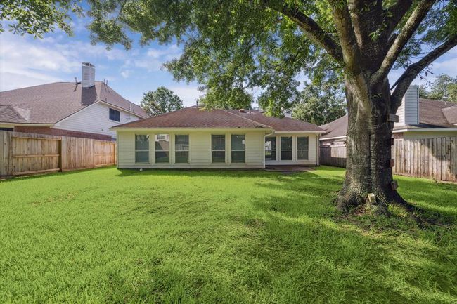 Backyard | Image 20