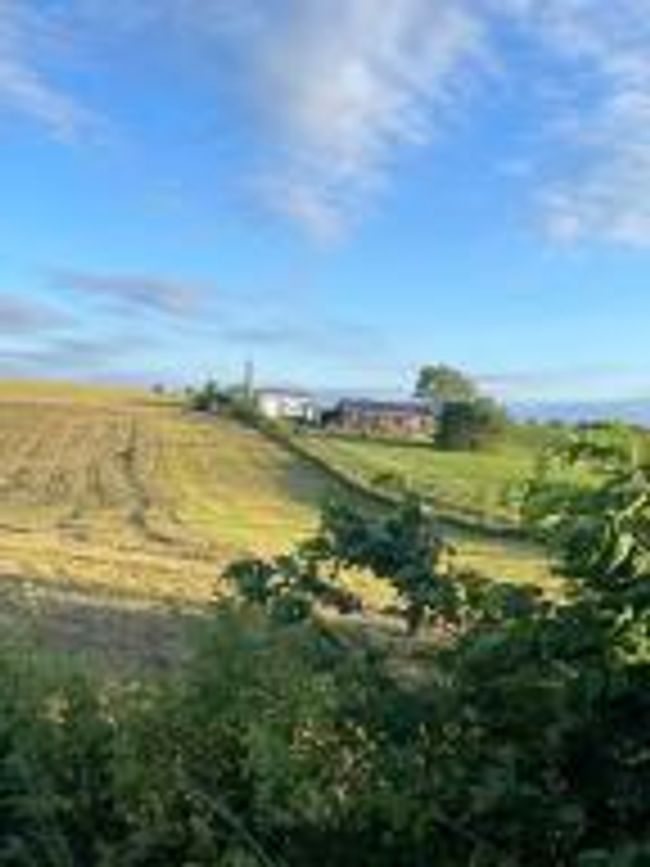 860 Mcafee Ln, Home with 0 bedrooms, 0 bathrooms and null parking in Salvisa KY | Image 10