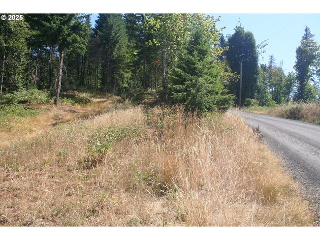 3647 Briar Knob Loop Ne, Home with 0 bedrooms, 0 bathrooms and null parking in Scotts Mills OR | Image 18