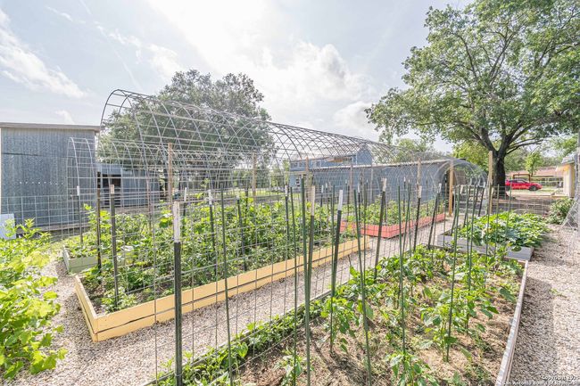 3951 Briar Hollow St, House other with 3 bedrooms, 2 bathrooms and null parking in San Antonio TX | Image 53