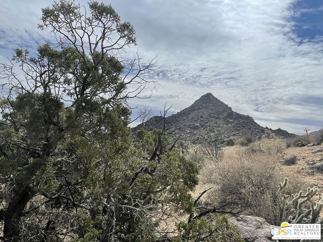 0 Desert Calico, Home with 0 bedrooms, 0 bathrooms and null parking in Mountain Center CA | Image 20