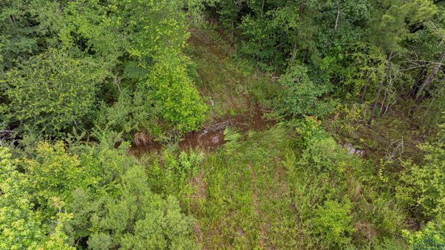 1557 Driskell Bridge Rd, House other with 5 bedrooms, 3 bathrooms and null parking in Harleton TX | Image 43