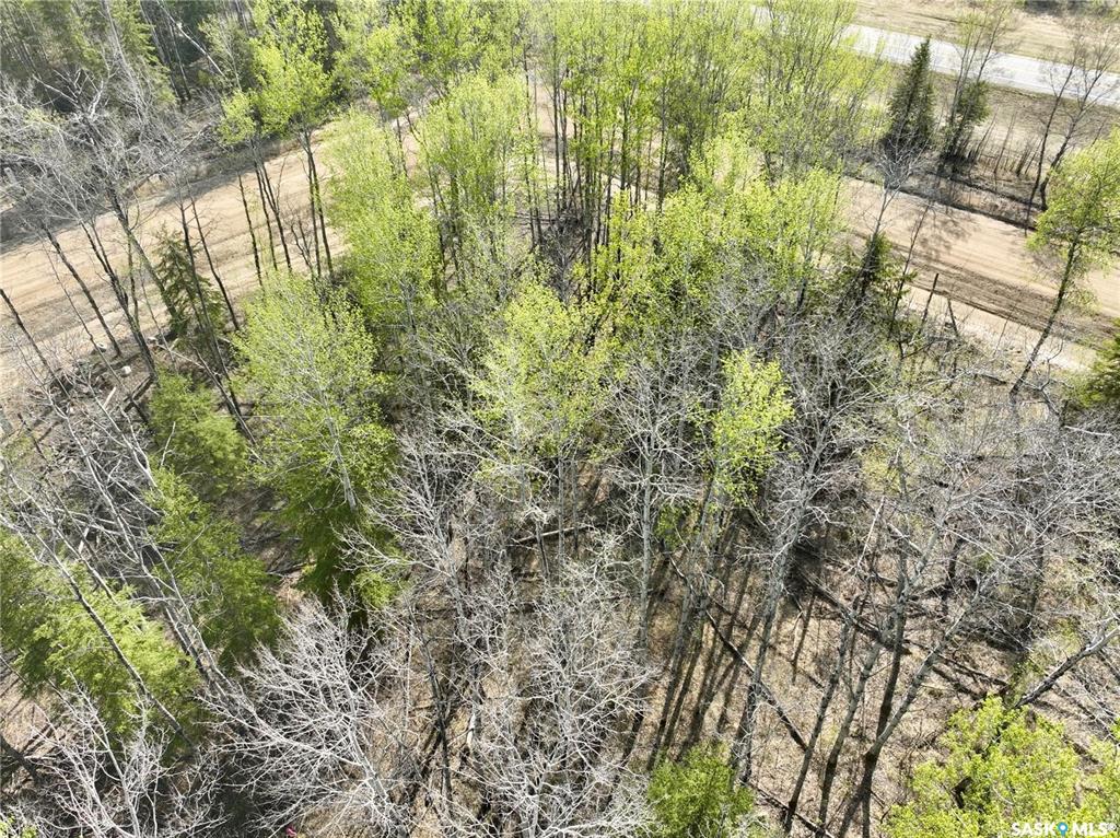 Land in Candle Lake 3