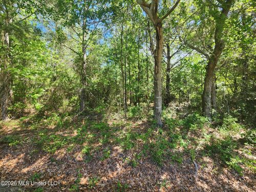 0 Lady Mary Ave, Pass Christian, MS, 39571 | Card Image