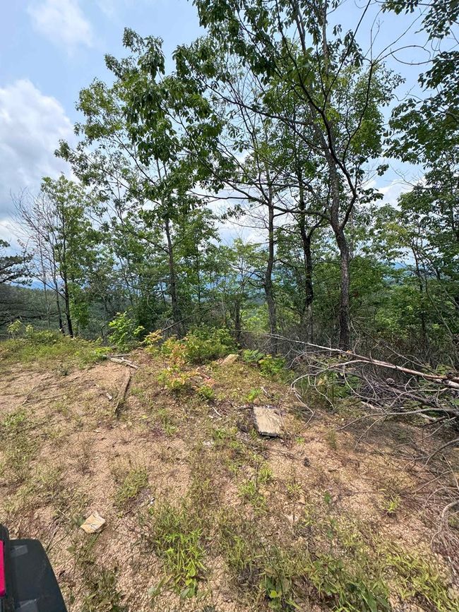 88 acres Bolden Branch Rd, Home with 0 bedrooms, 0 bathrooms and null parking in Andrews NC | Image 30