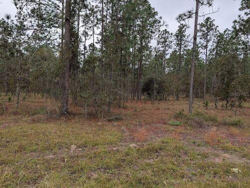 lot 13 Nw Geranium Ave, Dunnellon, FL, 34431 | Card Image