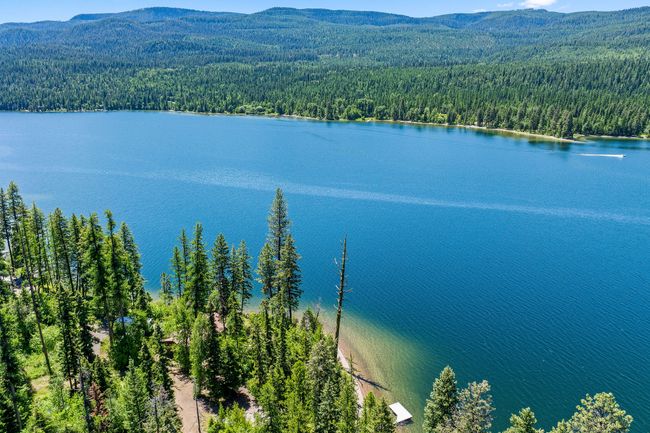 Aerial water view with a forest and a mountain backdrop | Image 39