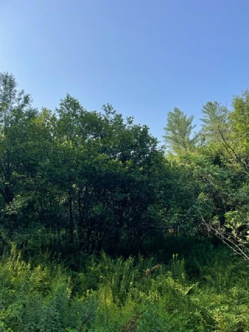 TBD Strawberry Hill Rd, Jeffersonville, VT, 05464 | Card Image