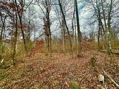 0 Prussia Rd, Waverly, OH, 45690 | Card Image