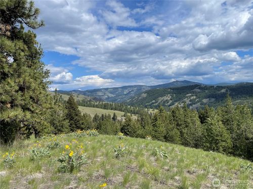 111 Tbd Sunrise Rd, Oroville, WA, 98844 | Card Image
