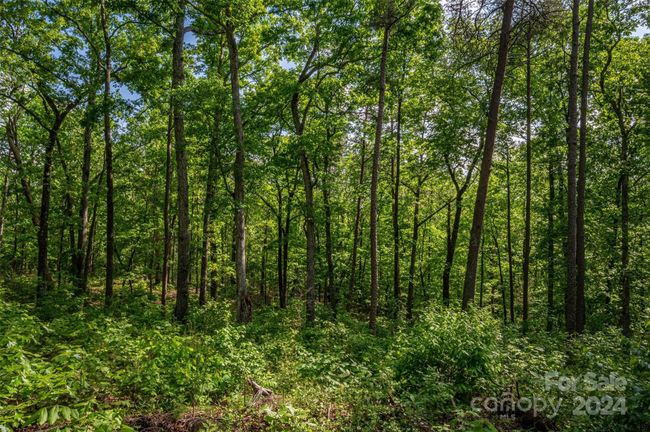 0 Walkaloosa Way, Home with 0 bedrooms, 0 bathrooms and null parking in Mooresboro NC | Image 16