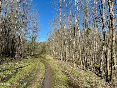 0 Swamp Rd, Carthage, MS, 39051 | Card Image