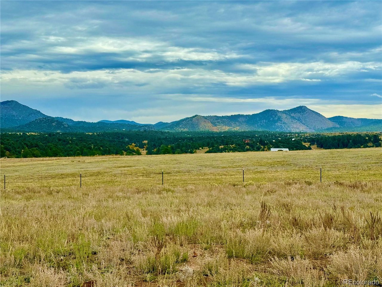 Land in Westcliffe 3