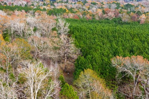 000 County Rd, Kennard, TX, 75847 | Card Image