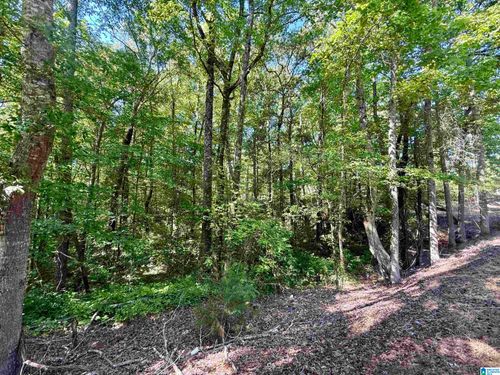 0-0 Settlement Rd, Sylacauga, AL, 35150 | Card Image