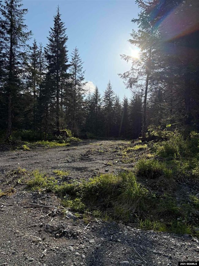 LOT-3-BLOCK-15 - 372 Cedar St., Home with 0 bedrooms, 0 bathrooms and null parking in Yakutat AK | Image 5