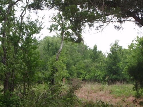 4001 Sargent Ct, Bay City, TX, 77414 | Card Image