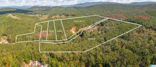 19-4 Acres Forest Edge Lane, Piedmont, AL, 36272 | Card Image
