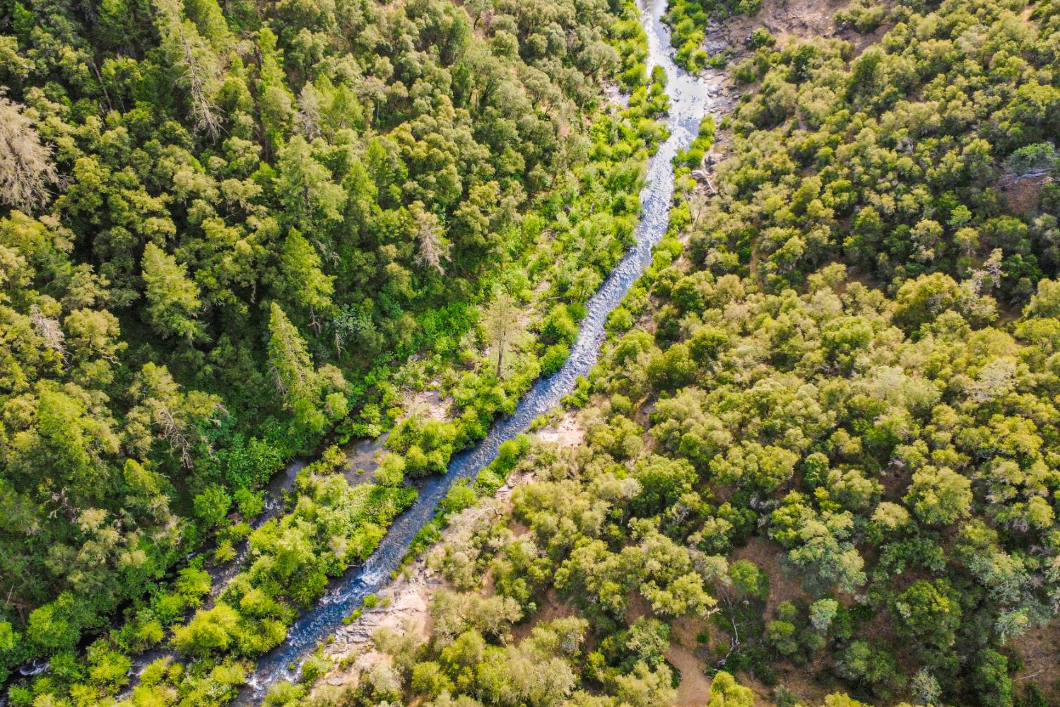 Residential in Placerville 4