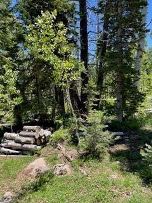 10 | Image 10