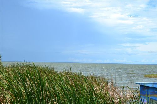 Lot 26 Elderberry Dr, MONTVERDE, FL, 34756-3445 | Card Image