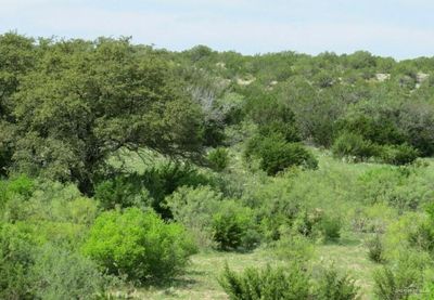 View of local wilderness | Image 1