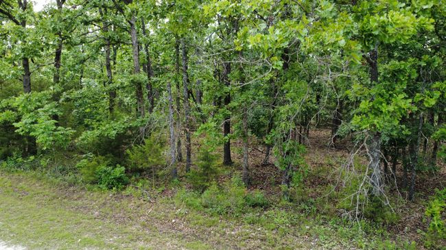 dji_fly_20250521_161208_184_174786195836 | Image 9