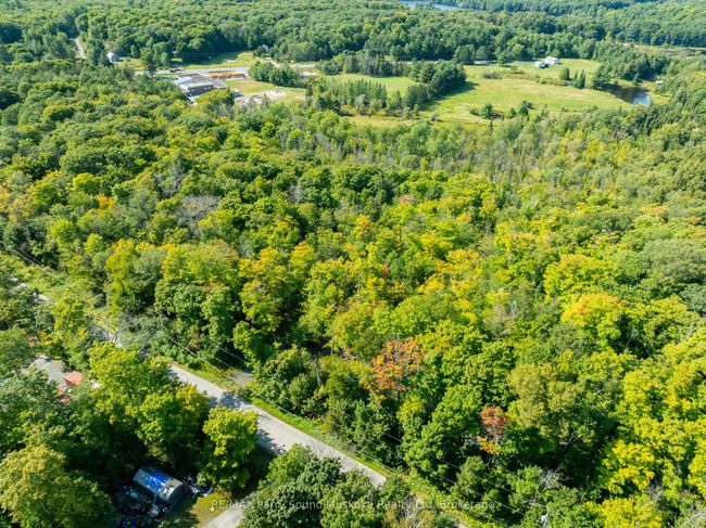 18 Burnside Bridge Rd, Home with 0 bedrooms, 0 bathrooms and null parking in Mcdougall ON | Image 11