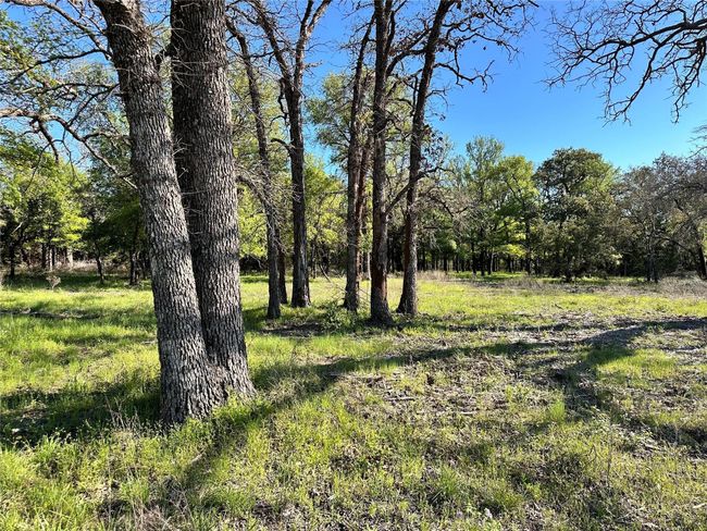 Lot 13 Cr 127, Home with 0 bedrooms, 0 bathrooms and null parking in Carlton TX | Image 34