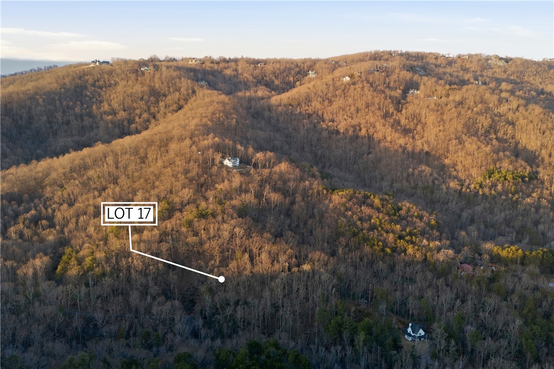 Land in Landrum 4
