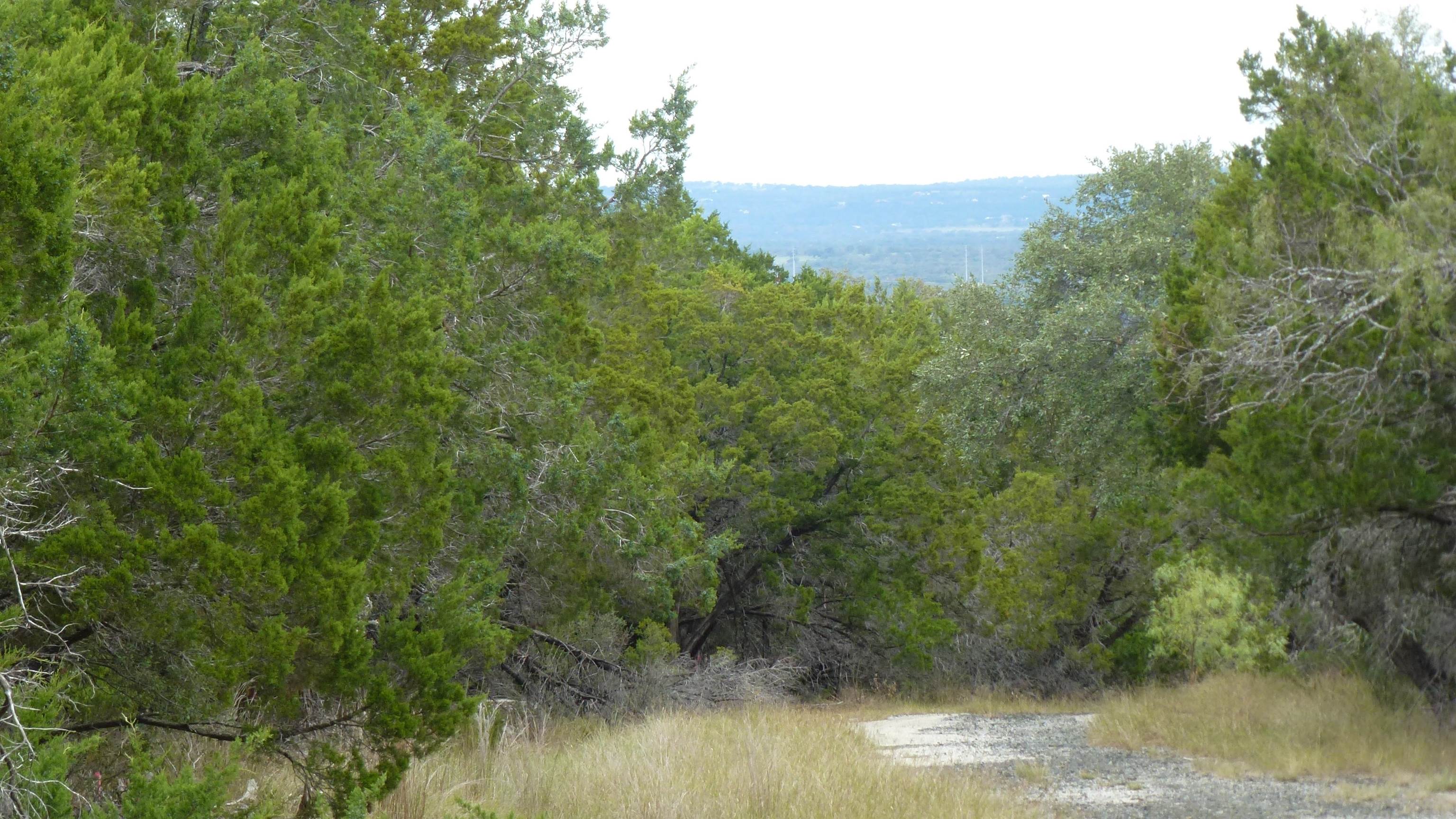 Land in Horseshoe Bay 5