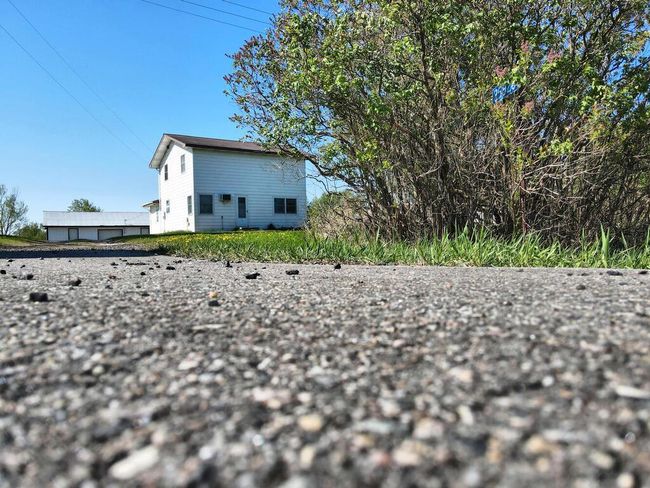 From an ants point of view | Image 37