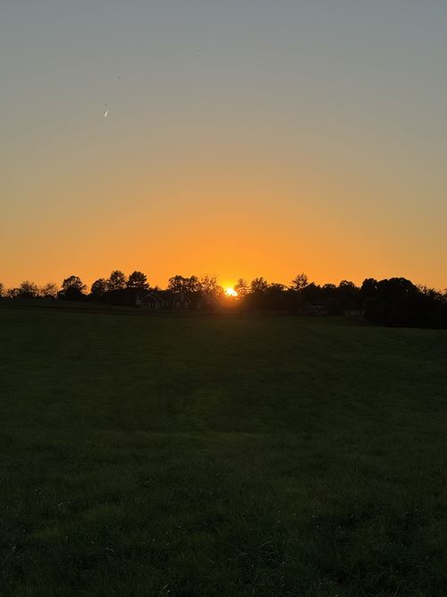 0 Woody Atkinson Rd, Woodburn, KY, 42170 | Card Image